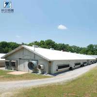 Chicken farm building steel structure raising broiler shed